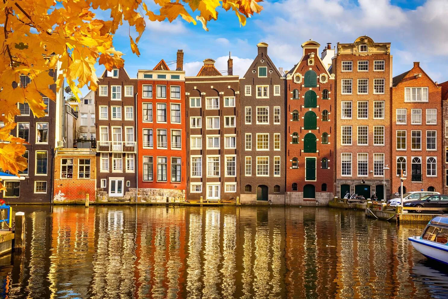 Netherlands Vs Germany